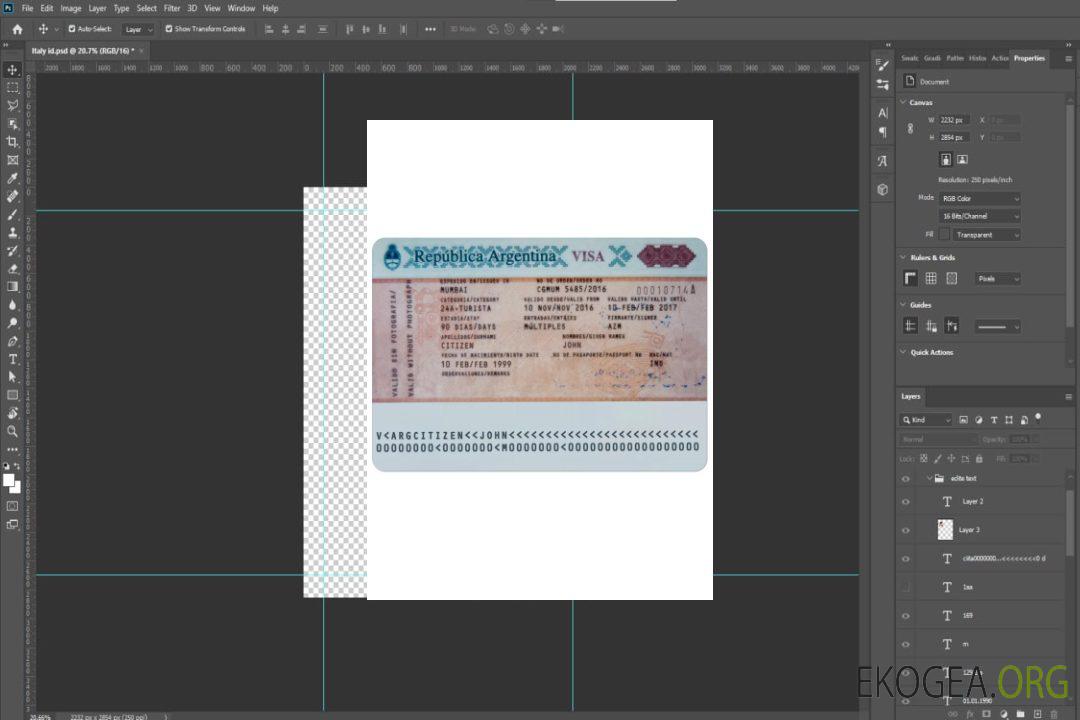 Visa ARGENTINE template